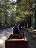 Riding through the Tilden Regional Park wilderness