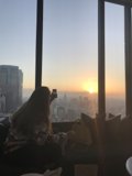 Window to the Sunrise