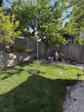 Springtime Adventures in the Backyard