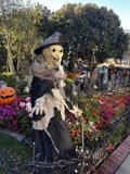 Scarecrow in the Harvest Garden