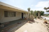 The Cactus House