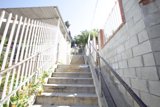 Stairway to a Tranquil Garden