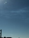 Kite-Flying Fun with a Stunning Skyline