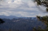 Misty Forest Ridges After Wildfire in Mountain Landscape
