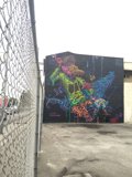 Majestic Horse Mural