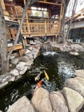 Serene Koi Pond with Wooden Deck
