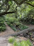 Into the Wilderness