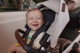 Joyful Moments on a Bright Day