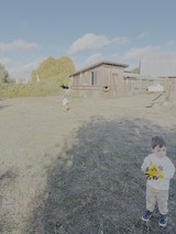 Toddler Playing on Farm with Chickens