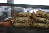 Crab Fest