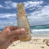 Refreshing Drink on Cancun Beach