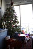 A Festive Fir Tree in a Cozy Living Room