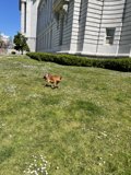 Playtime in the City