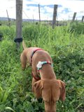 Field Exploration