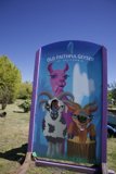 Playful Portraits at Old Faithful Geyser of California