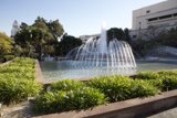 Beauty of the Fountain in the Park