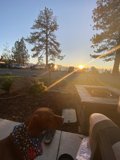 Man's Best Friend Watching the Sunset