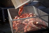 Delicious Lobster Feast