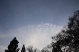 Twilight Sky with Silhouetted Trees and Wispy Clouds