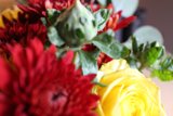 A Colorful Bouquet