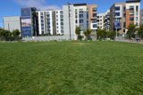 Urban Oasis