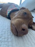 Rest and Relaxation
