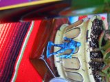 Blue Frog Figurine on Table
