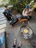 Morning Moments in Guerneville