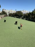 The Joy of Running Free