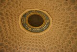 Captivating Ceiling of National Museum of Fine Arts