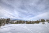 Frozen Majesty