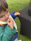 Curious Reflections