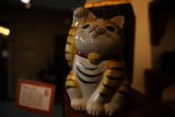 Charming Kitty of Japan Center Malls