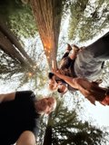 Among Giants: A Moment in the Grove
