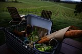Scenic Vineyard Picnic at Scribe