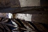Metal Leaf Close-Up
