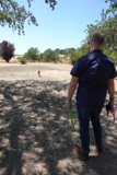 A Man and his Companions