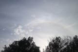 Rainbow above a Forest