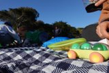 Picnic Under the Clear Blue Sky in 2023