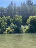 Kayaking through the Jungle