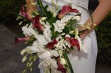 A Bride with her Blooms