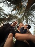 Woodland Wanderers