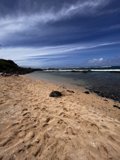 Paradise Cove