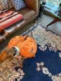 The Handy Hound
