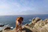 Rocky Beach Hangout