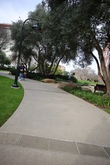 Curved Walkway Through Landscaped Park with Oak Trees