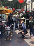 A Charming Afternoon at the Cafe