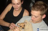 Portrait with Pooch