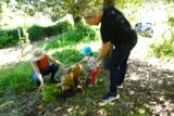 Garden Adventures