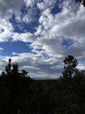 Skyline view of Tesuque